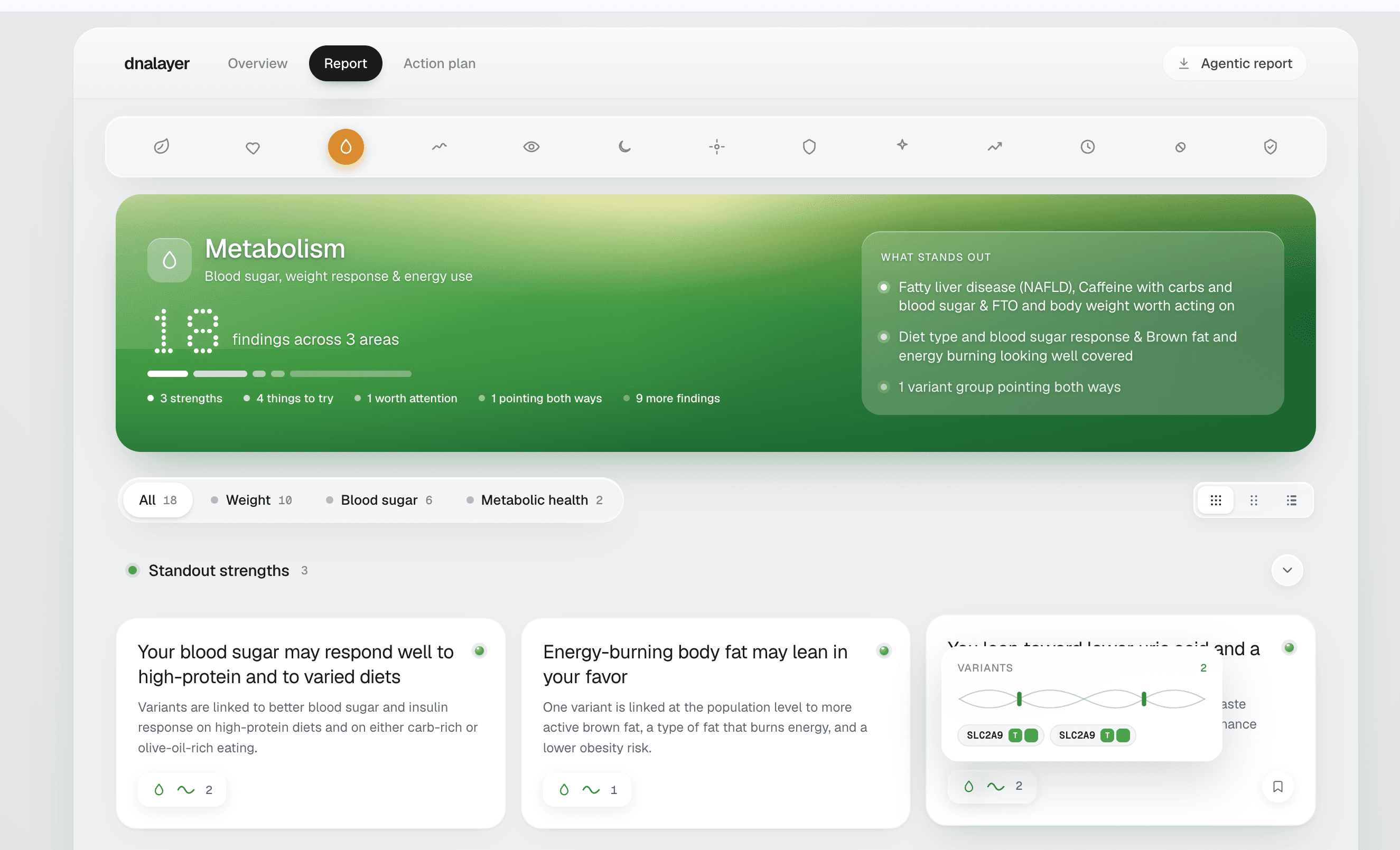 Representative DNA Layer report interface showing health areas and prioritized findings